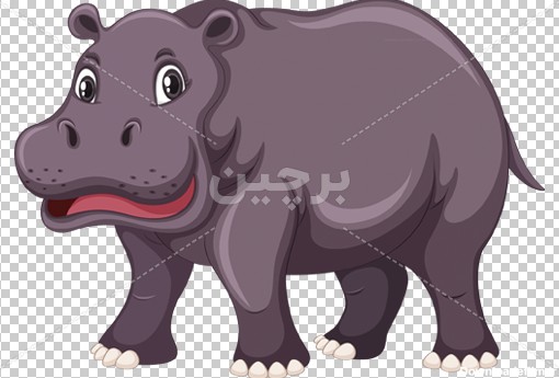 Borchin-ir-baby hippo cartoon transparent animal large photo_png عکس کارتونی بچه اسب آبی با فرمت png2