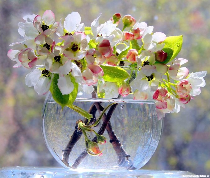 خبرآنلاین - تصاویری از گل و گلدان های فوق العاده زیبا؛ ایده ای ...
