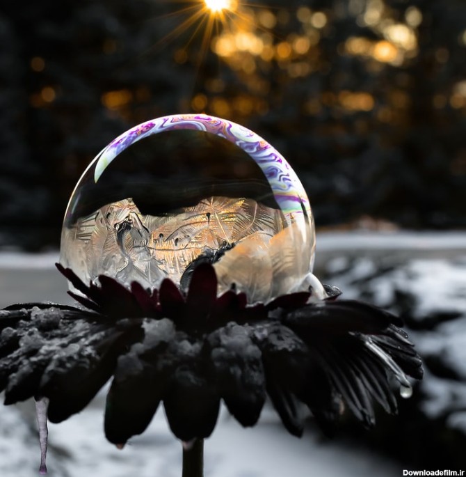 تصاویر زیبا و شگفت انگیز از حباب‌های یخ زده
