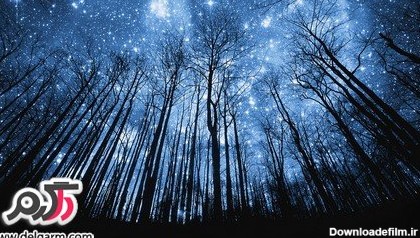 تصاویری از شب های پر ستاره