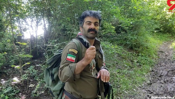 این مرد ایرانی با حیوانات حرف می زند ! + فیلم قدم زدن با محیط بان در جنگل های هیرکانی