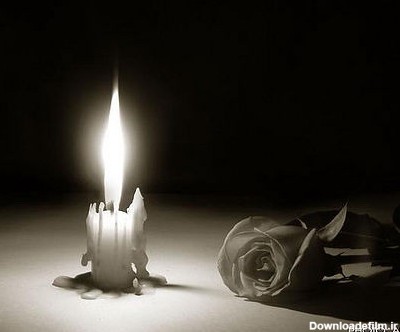 دانلود عکس شمع گل پروانه