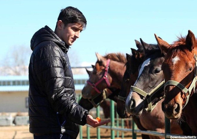 رکوردشکنی سردار آزمون با خرید اسب نیم میلیون دلاری/عکس - خبرآنلاین