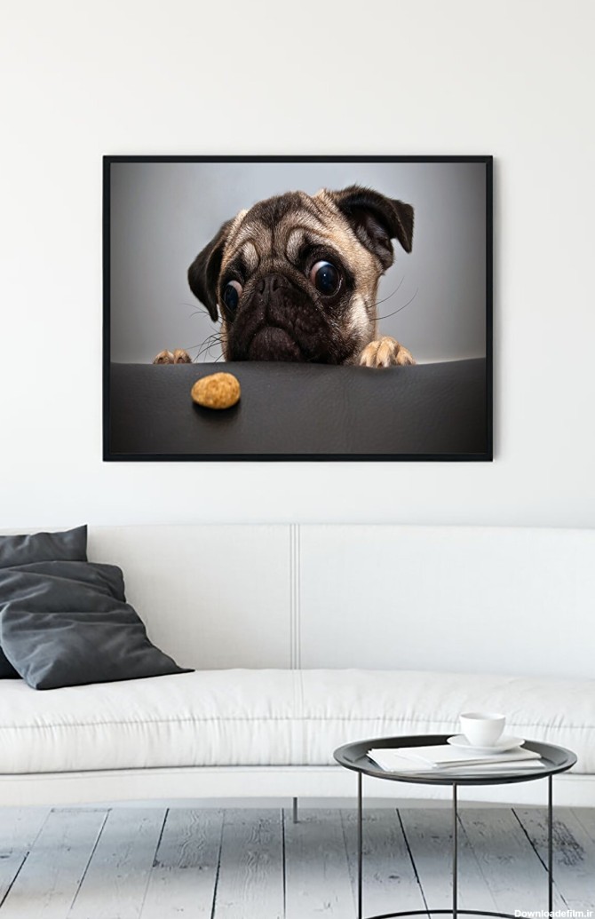 ترندیاب | نقاشی با قاب طنز توله سگ (30 X 40cm)
