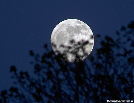 کره ماه را بشناسید/ "ماه" گرد نیست - ایمنا
