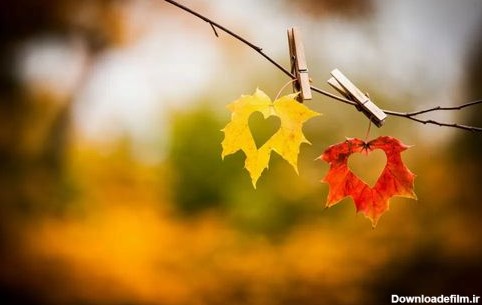 متن پاییز ۱۴۰۱ ❤️+ عکس پروفایل عاشقانه پاییزی و فصل خزان - ماگرتا