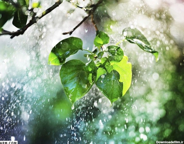40 عکس آرامش بخش هوای بارانی با کیفیت بالا