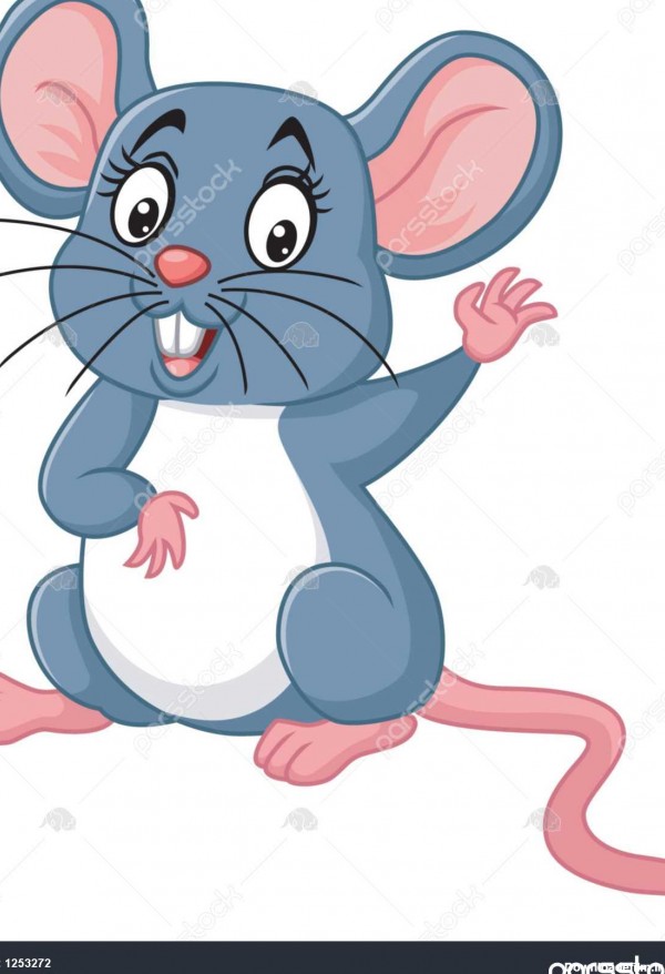 عکس موش عکس موش
