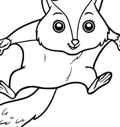 نقاشی سنجاب پرنده برای رنگ آمیزی