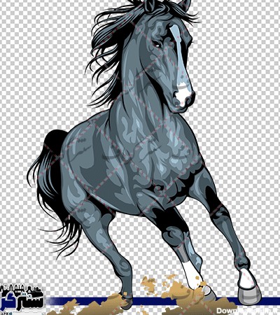 عکس دوربری نقاشی اسب سیاه - png نقاشی اسب سیاه- سنتر گراف