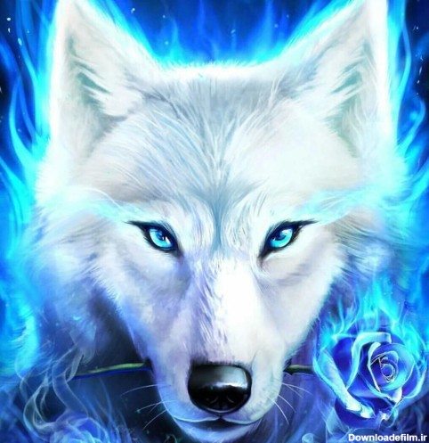 Awesome Wolf Backgrounds 4k/HD - برنامه‌ها در Google Play
