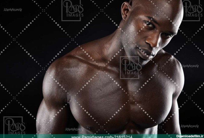 Sportsman Bodybuilder Body - دانلود عکس - پارس ایمیجز ...