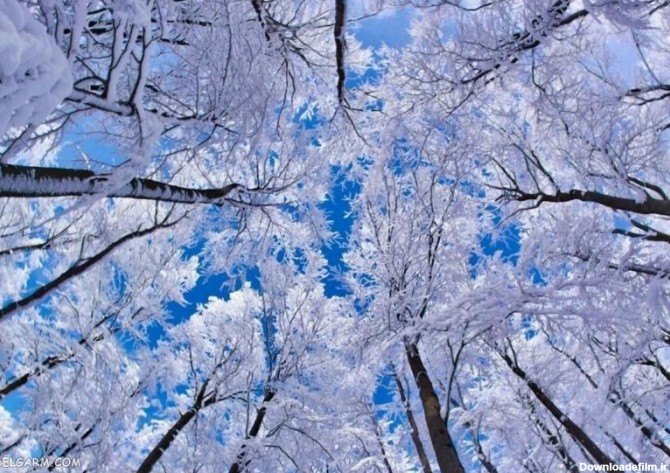 عکس های پروفایل زمستانی زیبا