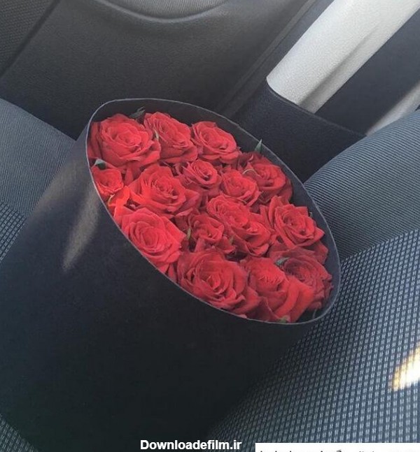 عکس گل رز در ماشین