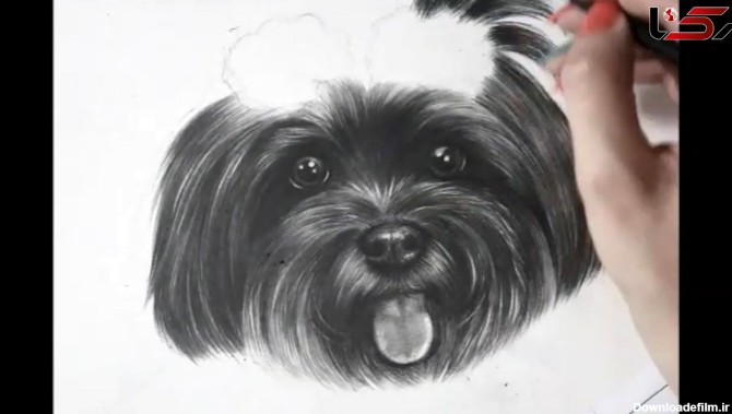 سگ پشمالو چطور نقاشی می شود ؟ + فیلم