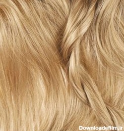 خرید و قیمت رنگ موی بیول بلوند روشن طبیعی 8/0 ا شناسه کالا: 493 | ترب
