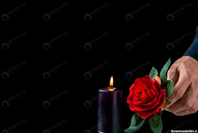شمع و گل رز با پس زمینه مشکی - مرجع دانلود فایلهای دیجیتالی
