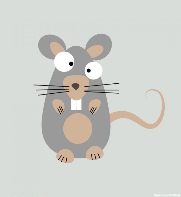 تصاویر موش برای سال موش !