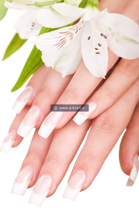 عکس با کیفیت از دو دست با ناخن کاشته شده در کنار گل زنبق