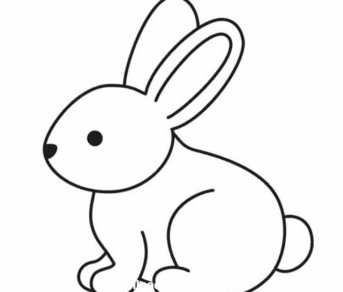 عکس خرگوش نقاشی ساده