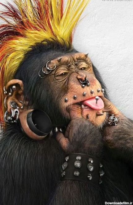 عکس میمون های ترسناک