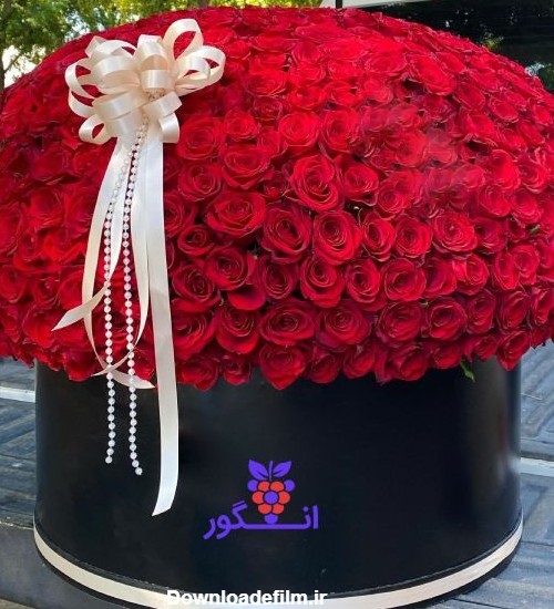 باکس گل رز لاکچری ولنتاین - خرید گل رز - سفارش آنلاین گل رز طبیعی قرمز