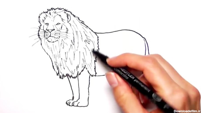 How to Draw a Lion - Learning Wild Animals Color pages for Kids