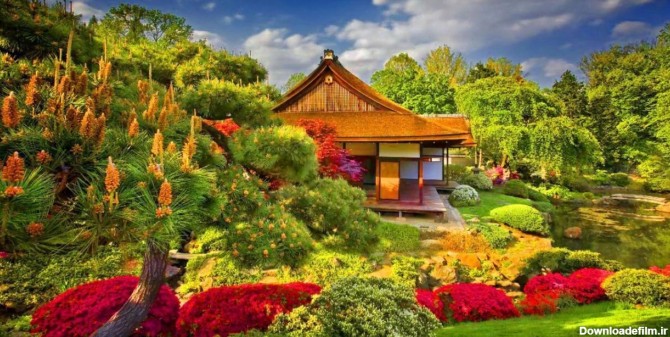 عکس/منظره ی زیبا از خانه چوبی و باغ رویایی در کشور هلند - تسنیم
