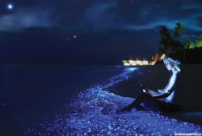 دریای ستارگان مالدیو