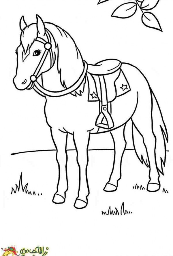 عکس اسب برای نقاشی کودکانه