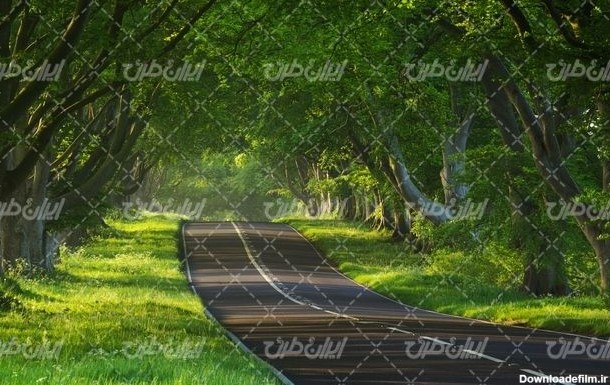 تصویر با کیفیت چشم انداز زیبای جاده جنگلی همراه با منظره ...