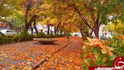 نمایی از طبیعت پاییزی در اصفهان + تصاویر