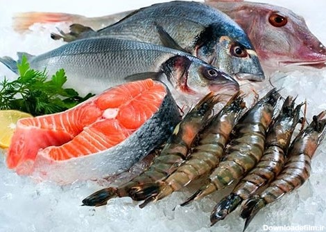 طبع ماهی‌های دریای شمال و جنوب در طب سنتی چیست؟ + لیست قیمت انواع ...