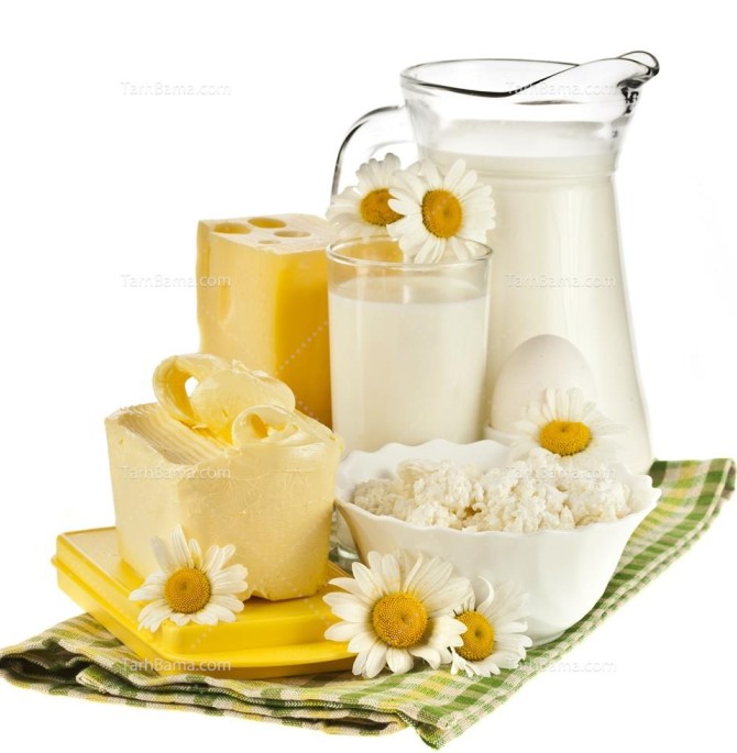 تصویر با کیفیت شیر و کره و ماست و پنیر و گل بابونه