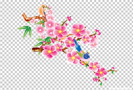 عکس png شکوفه بهاری گل و بلبل | بُرچین – تصاویر دوربری شده، فایل ...
