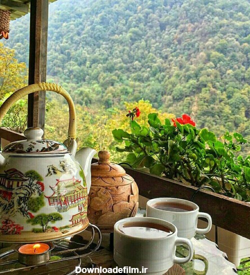 تزیین چای با نبات و لیمو خشک برای مهمان + ایده پذیرایی چای