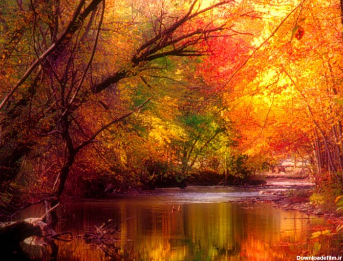 عکس های بسیار زیبا از فصل پاییز