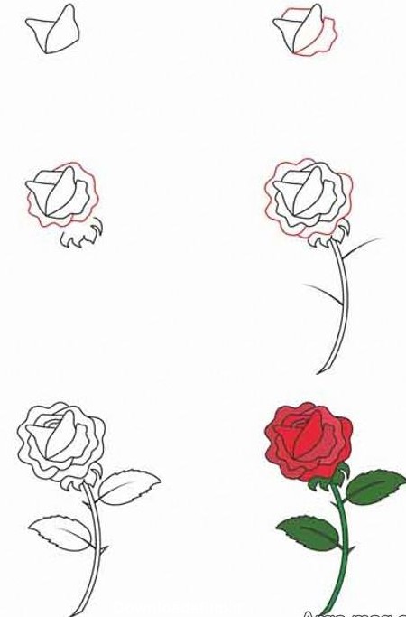 راهنمای انواع نقاشی گل رز برای کودکان