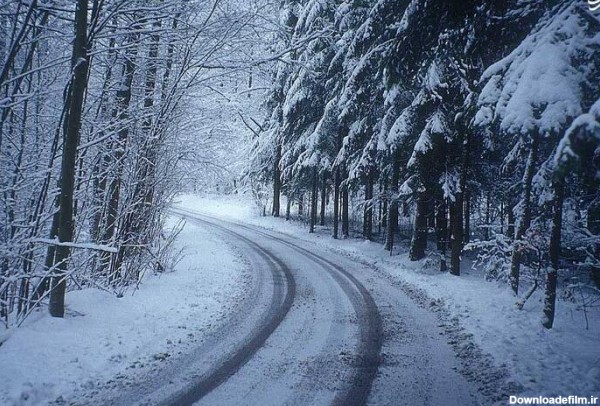 مشرق نیوز - عکس/ جاده‌ای در دل جنگل برفی