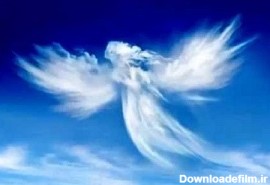 فرشته های الهی | زن بودن جنسیت فرشته های الهی امری است واقعی یا خرافه؟