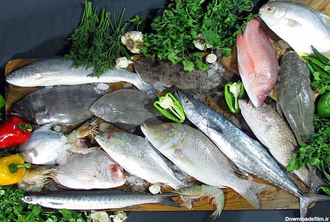 انواع ماهیان خوراکی در ایران - ماهیگیر