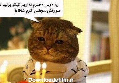 عکس نوشته حیوانات بامزه