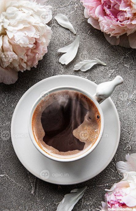 دانلود عکس گل صد تومانی صورتی و یک فنجان قهوه | اوپیک