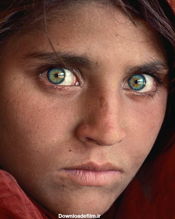 تصویر دختر چشم سبز افغان رکورد زد - بهار نیوز