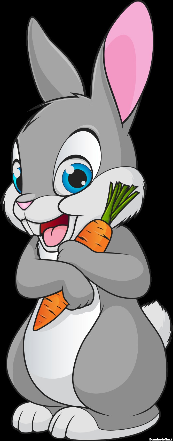 عکس PNG کارتونی خرگوش - Bunny PNG Cartoon – دانلود رایگان