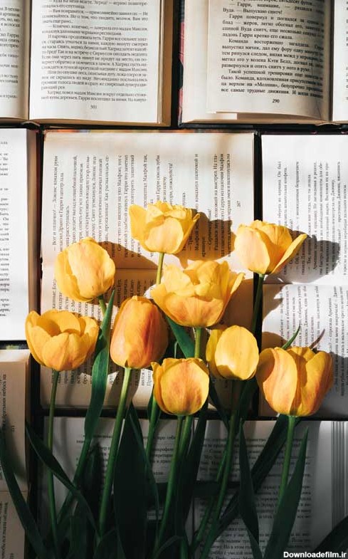 دانلود تصویر کتاب ها و گل لاله