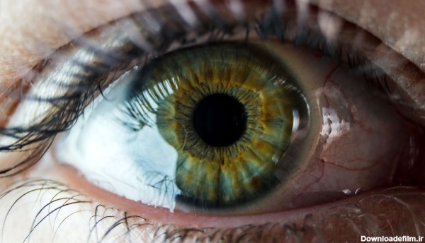فرارو | کمیاب‌ترین «رنگ چشم» جهان چه رنگی است؟