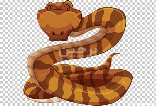 Borchin-ir-big cartoon snake cartoon transparent animal large photo_png عکس کارتونی مار سمی به رنگ نارنجی بصورت دوربری شده۲