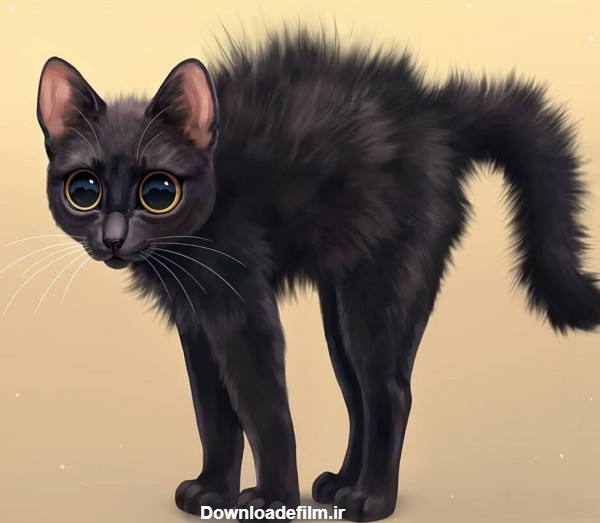 عکس کارتونی گربه سیاه وحشت زده و ترسیده