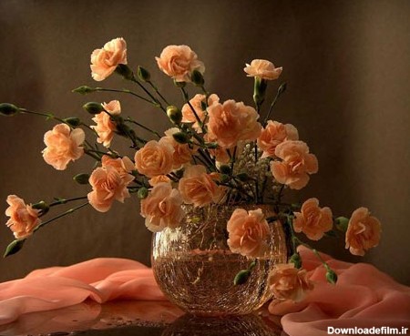 گل و گلدان های فوق العاده زیبا و دیدنی /تصاویر - مهین فال